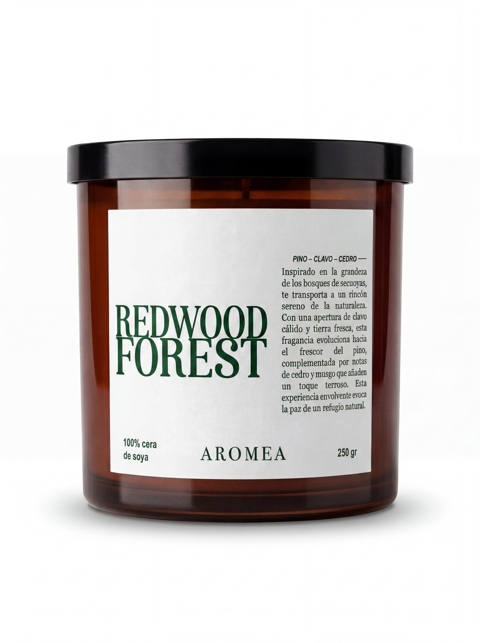 Redwood Forest