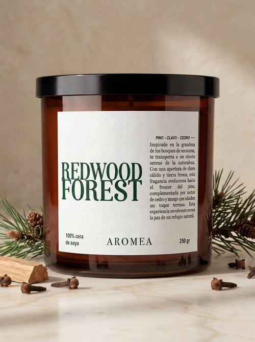 Vela Redwood Forest — Escena