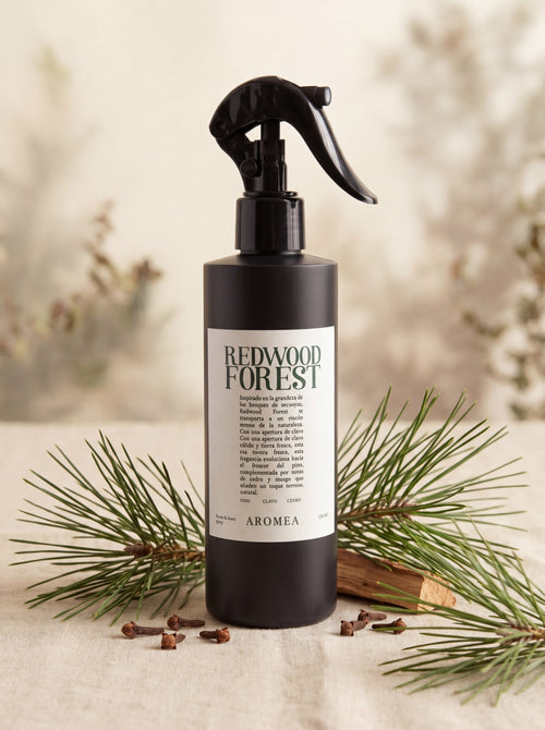 Spray Redwood Forest — Escena